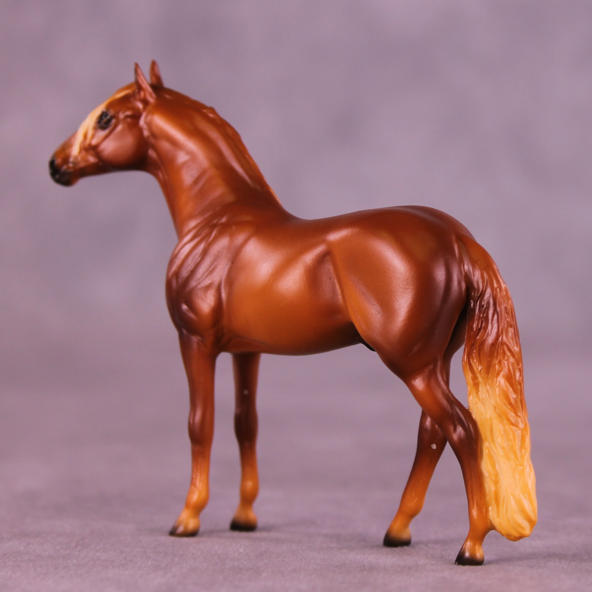 Florizel LE-5 Chip Andalusian by Ellen Robbins CL25