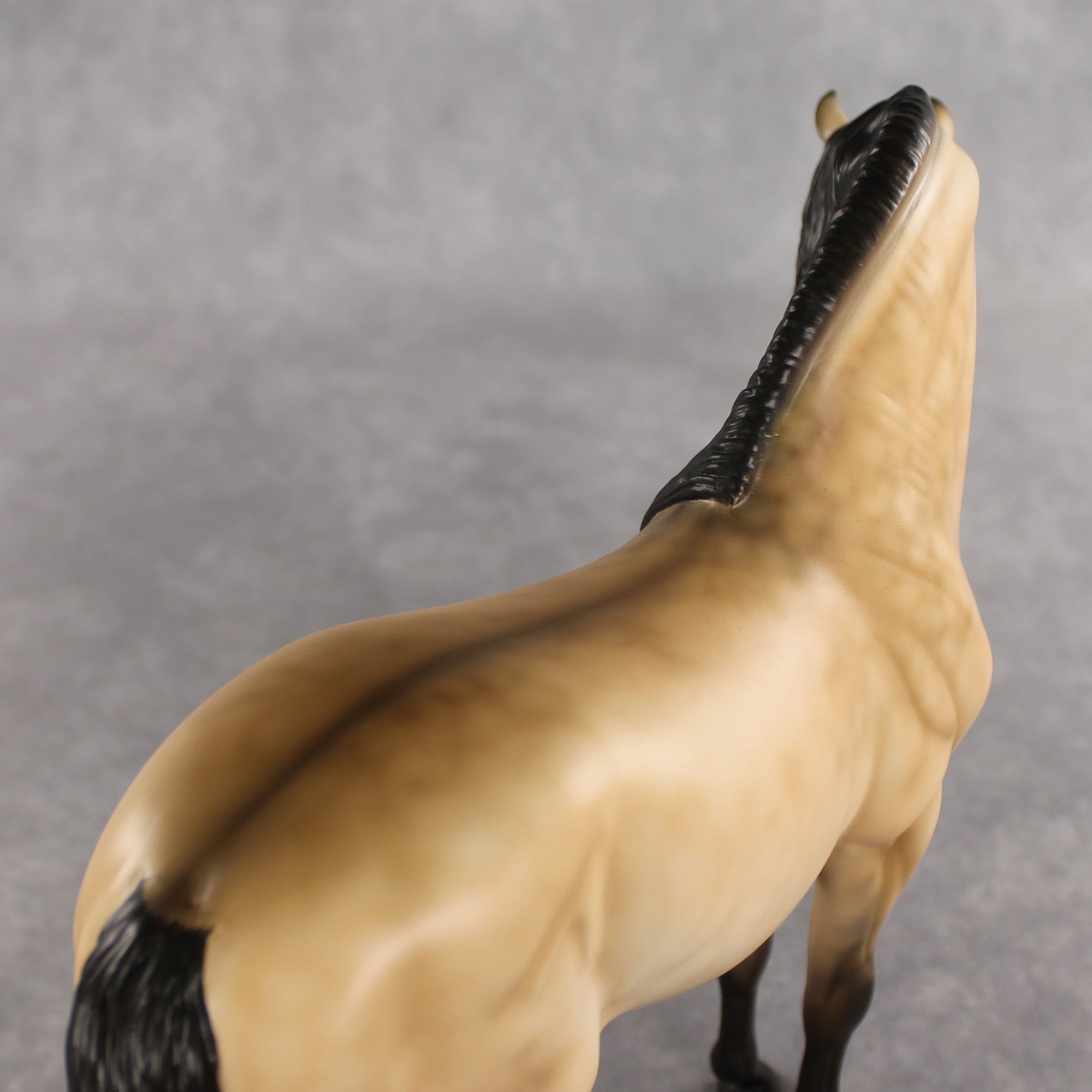 The Perfect Gentleman LE-5 EFCM Andalusian by Melanie Miller VV26