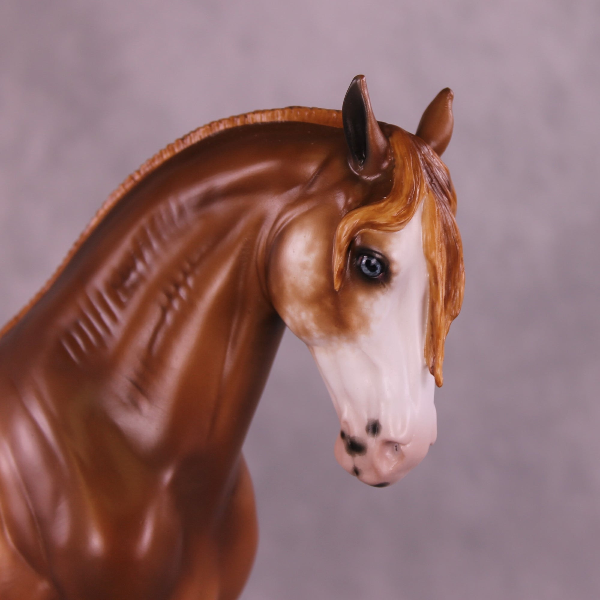 Cornelia OOAK FCM Andalusian by Sheryl Leisure Best Offer 10/14/25