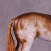 Cornelia OOAK FCM Andalusian by Sheryl Leisure Best Offer 10/14/25