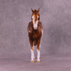 Cornelia OOAK FCM Andalusian by Sheryl Leisure Best Offer 10/14/25
