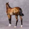 Very Important Pen OOAK Dappled Metallic Buckskin Custom Weanling By Dawn Quick HS24