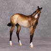 Very Important Pen OOAK Dappled Metallic Buckskin Custom Weanling By Dawn Quick HS24