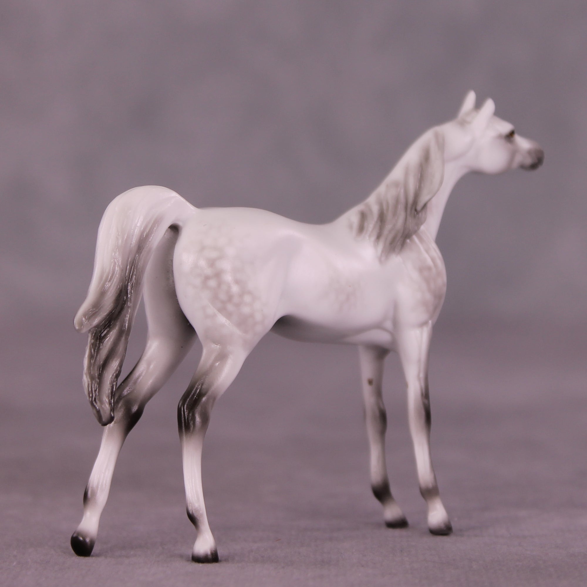 Itty Bitty Arty LE-30 Chip Arabian by Ellen Robbins SCD25