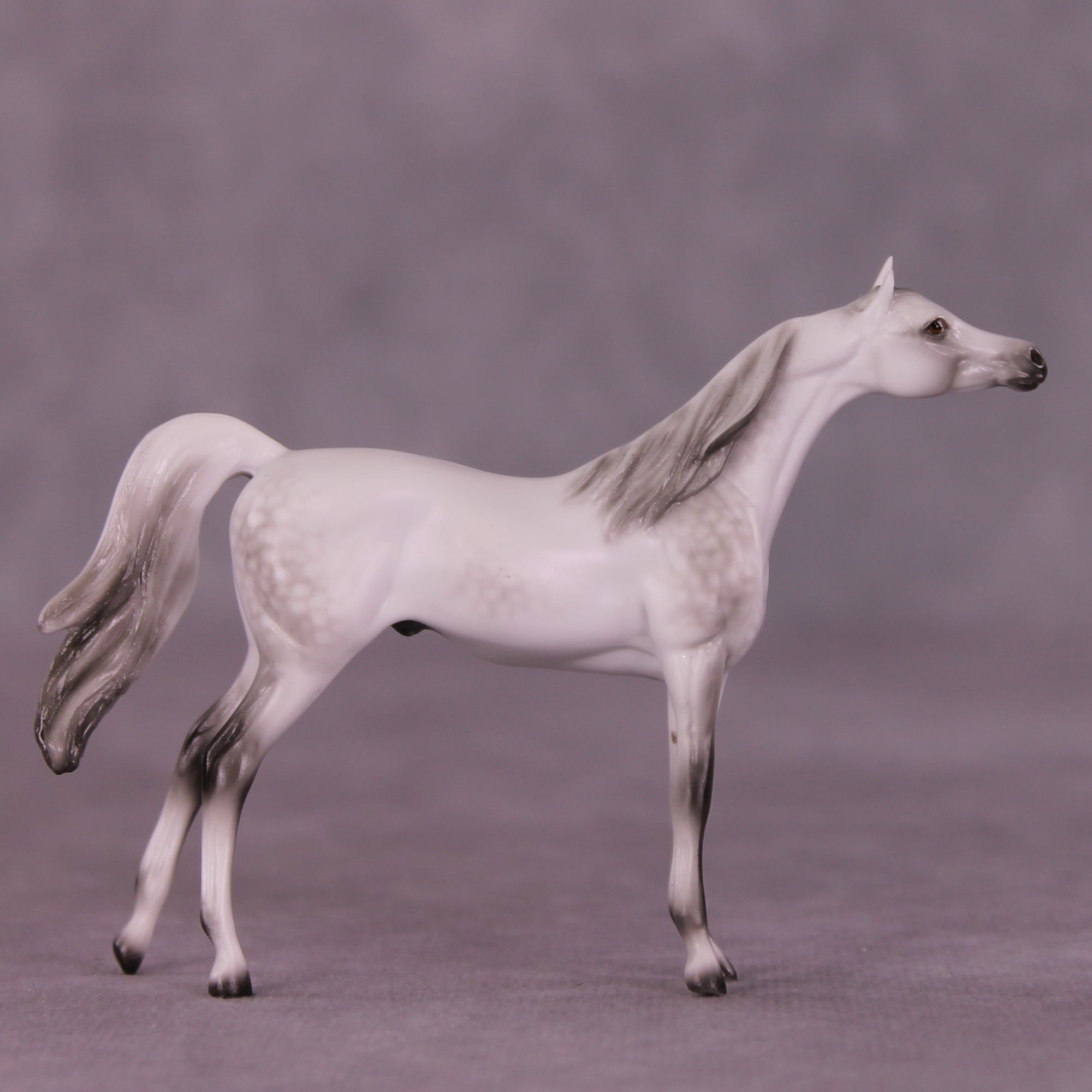 Itty Bitty Arty LE-30 Chip Arabian by Ellen Robbins SCD25