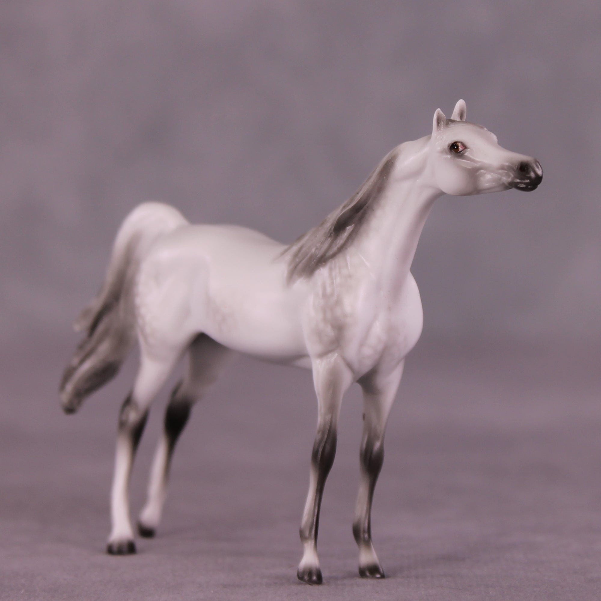 Itty Bitty Arty LE-30 Chip Arabian by Ellen Robbins SCD25