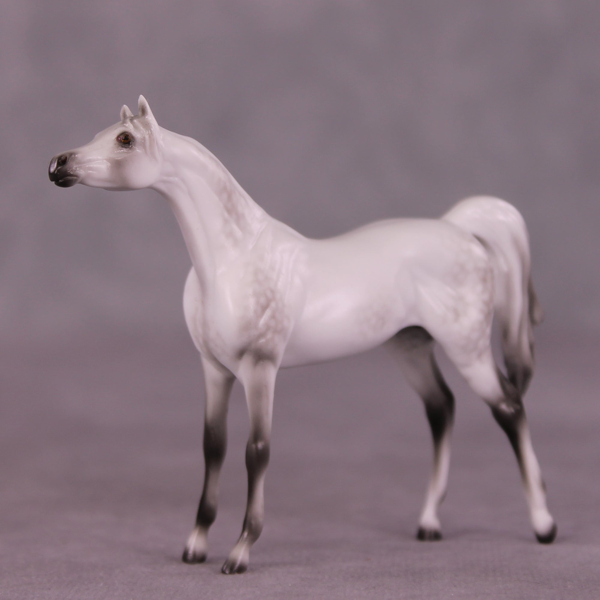 Itty Bitty Arty LE-30 Chip Arabian by Ellen Robbins SCD25