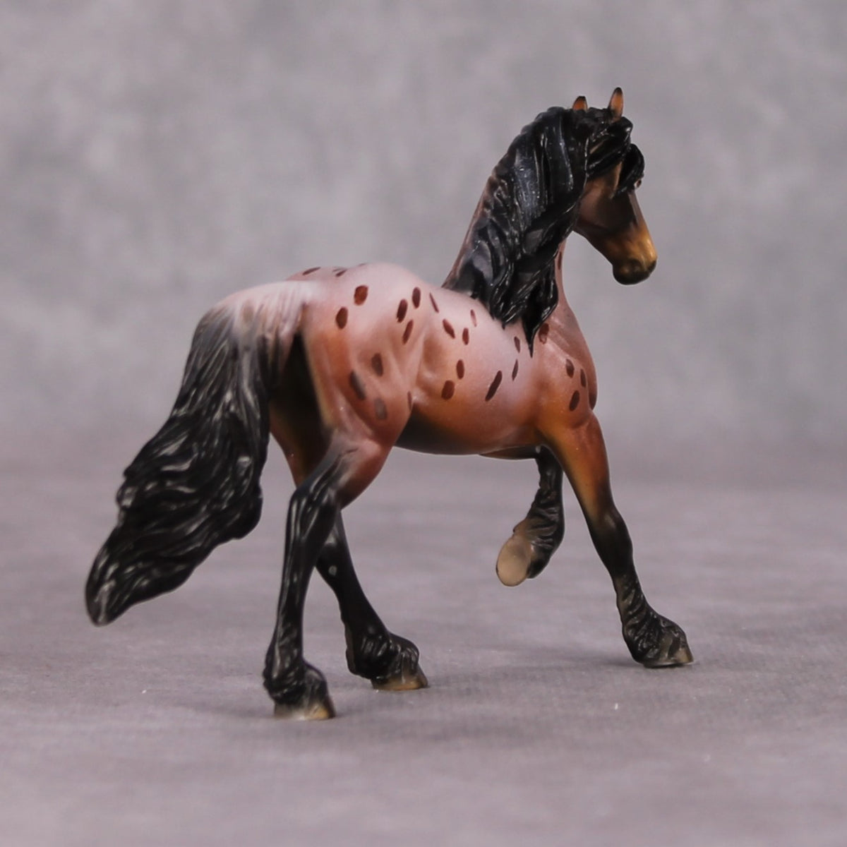 Interrupting Raisin LE-4 Red Roan Appaloosa Friesian Chip By Dawn Quick HS24