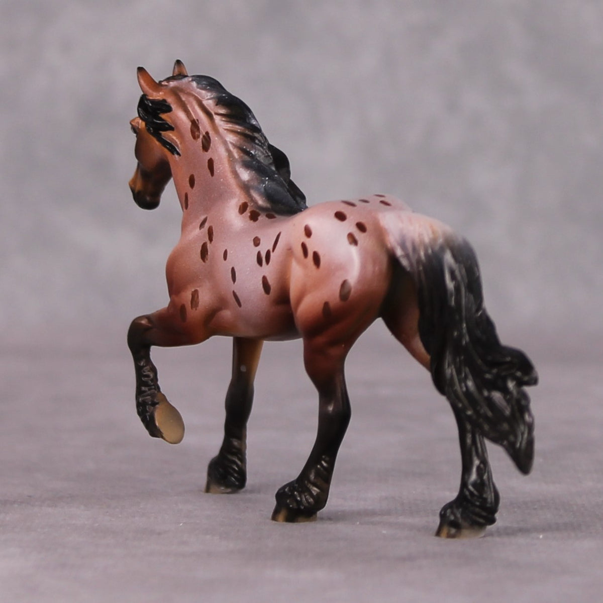 Interrupting Raisin LE-4 Red Roan Appaloosa Friesian Chip By Dawn Quick HS24