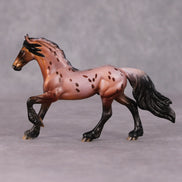 Interrupting Raisin LE-4 Red Roan Appaloosa Friesian Chip By Dawn Quick HS24