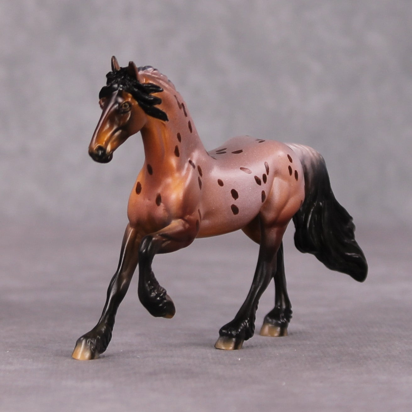 Interrupting Raisin LE-4 Red Roan Appaloosa Friesian Chip By Dawn Quick HS24