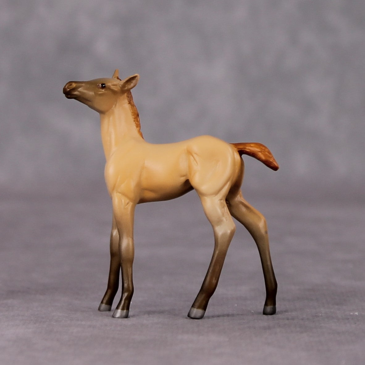 Colorado Desert OOAK Dun Chip Foal By Jamie Adamson HS24