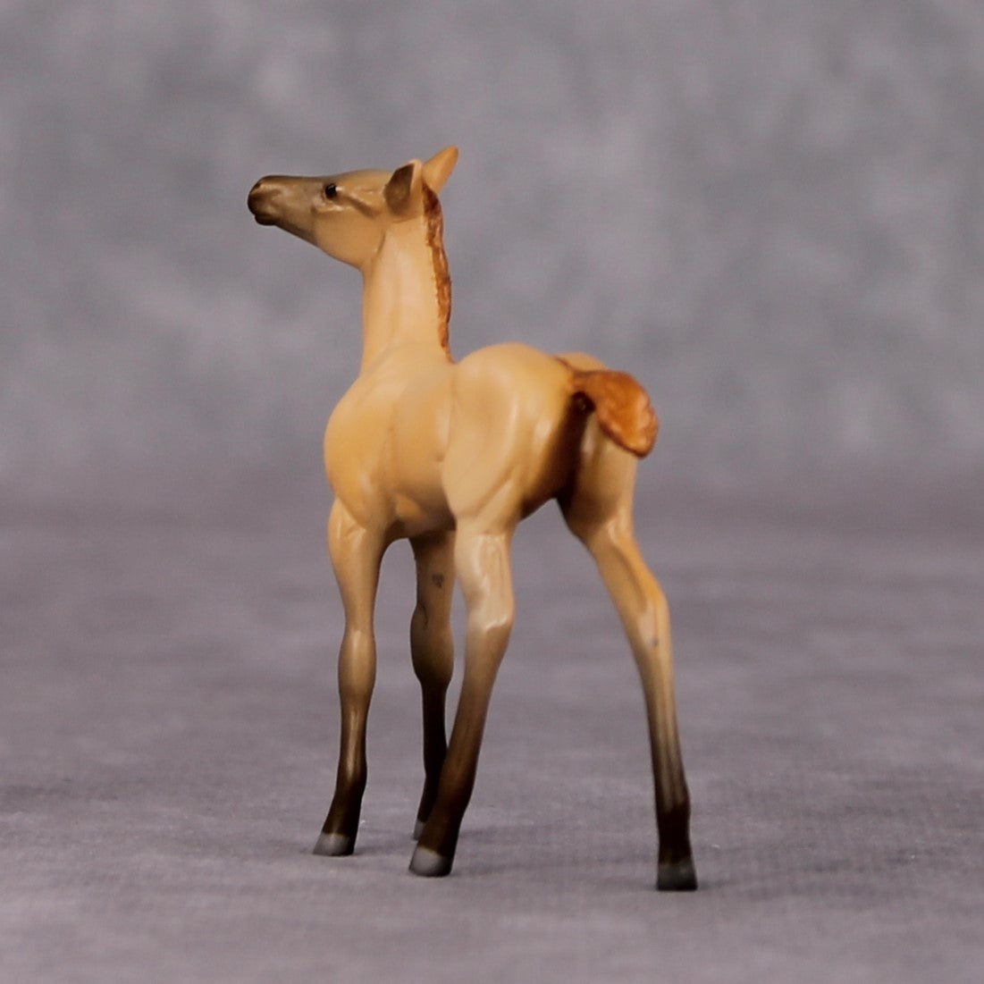 Colorado Desert OOAK Dun Chip Foal By Jamie Adamson HS24