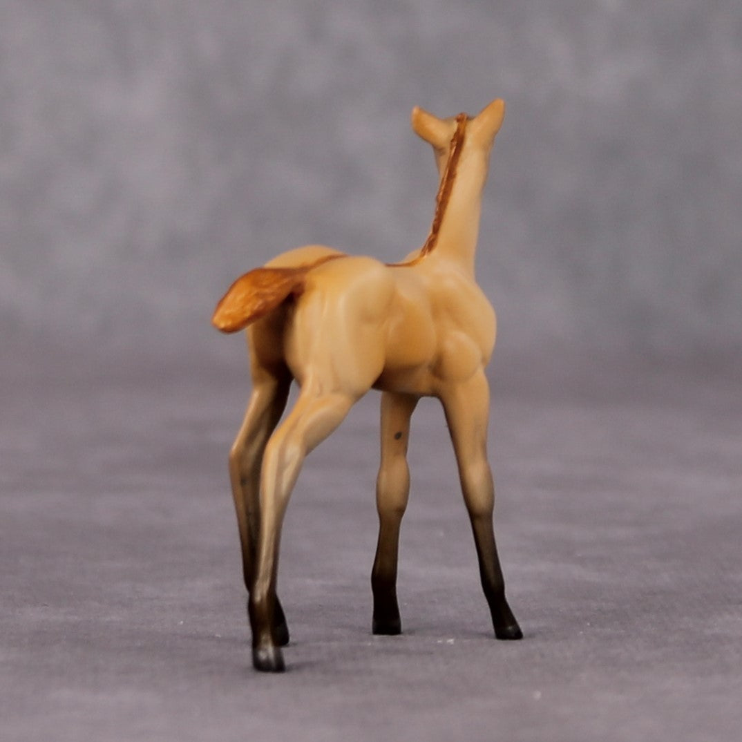 Colorado Desert OOAK Dun Chip Foal By Jamie Adamson HS24
