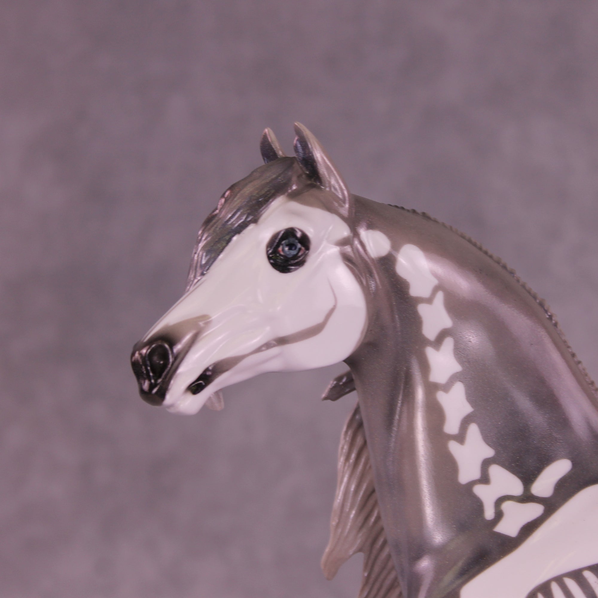 Argento OOAK FCM Morgan by Pernille Forsberg Bøjsen GS1125