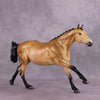 Dappledown Soirée &quot;Anne Wilder&quot; GLOSSY LE-30 Volo by Ellen Robbins EQ25