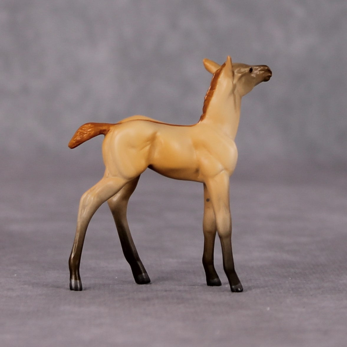 Colorado Desert OOAK Dun Chip Foal By Jamie Adamson HS24
