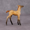 Colorado Desert OOAK Dun Chip Foal By Jamie Adamson HS24