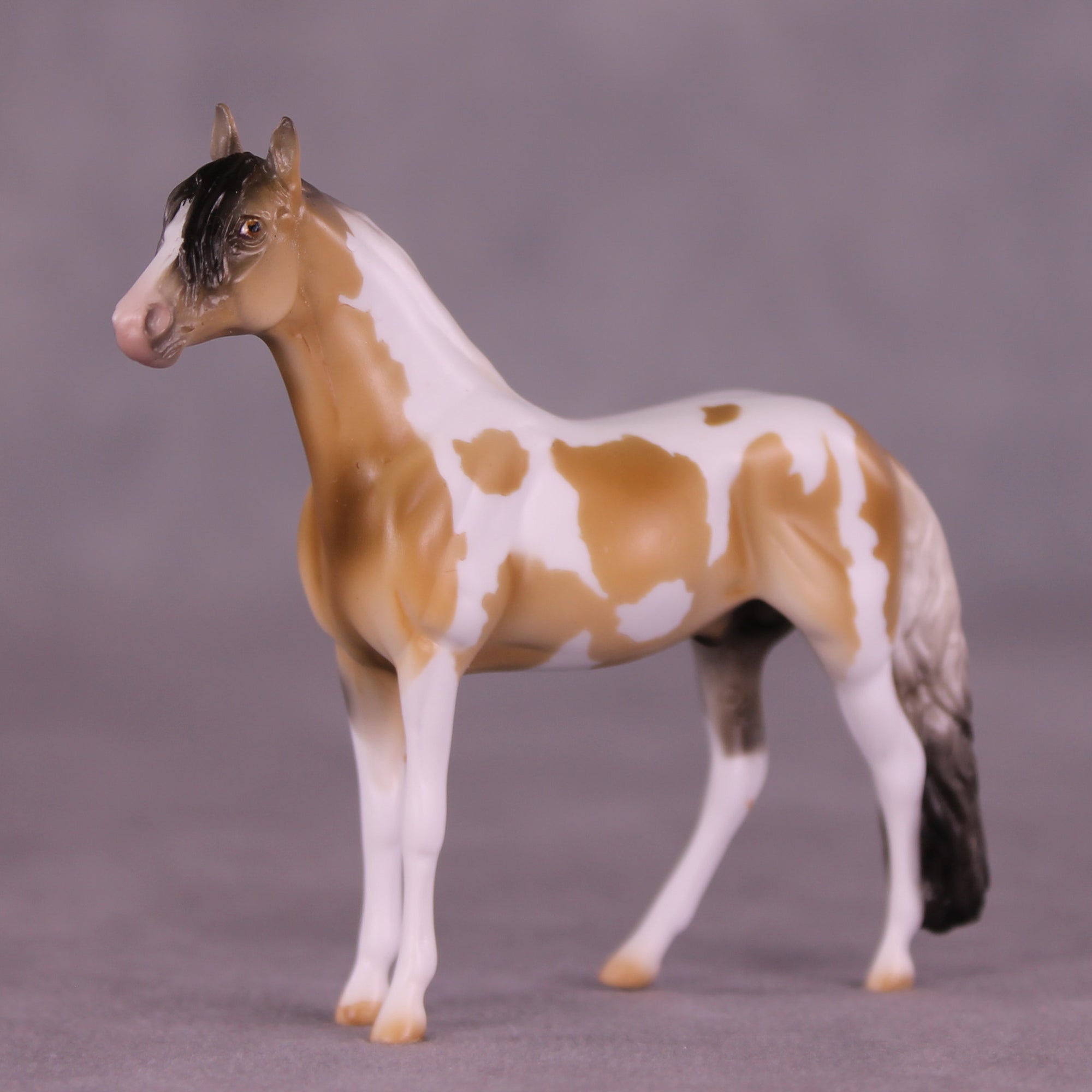 Oats &amp; Honey OOAK Chip Andalusian by Mindy Berg SS925