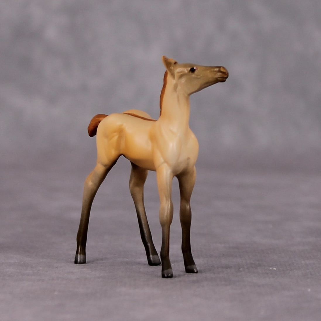 Colorado Desert OOAK Dun Chip Foal By Jamie Adamson HS24