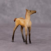 Colorado Desert OOAK Dun Chip Foal By Jamie Adamson HS24