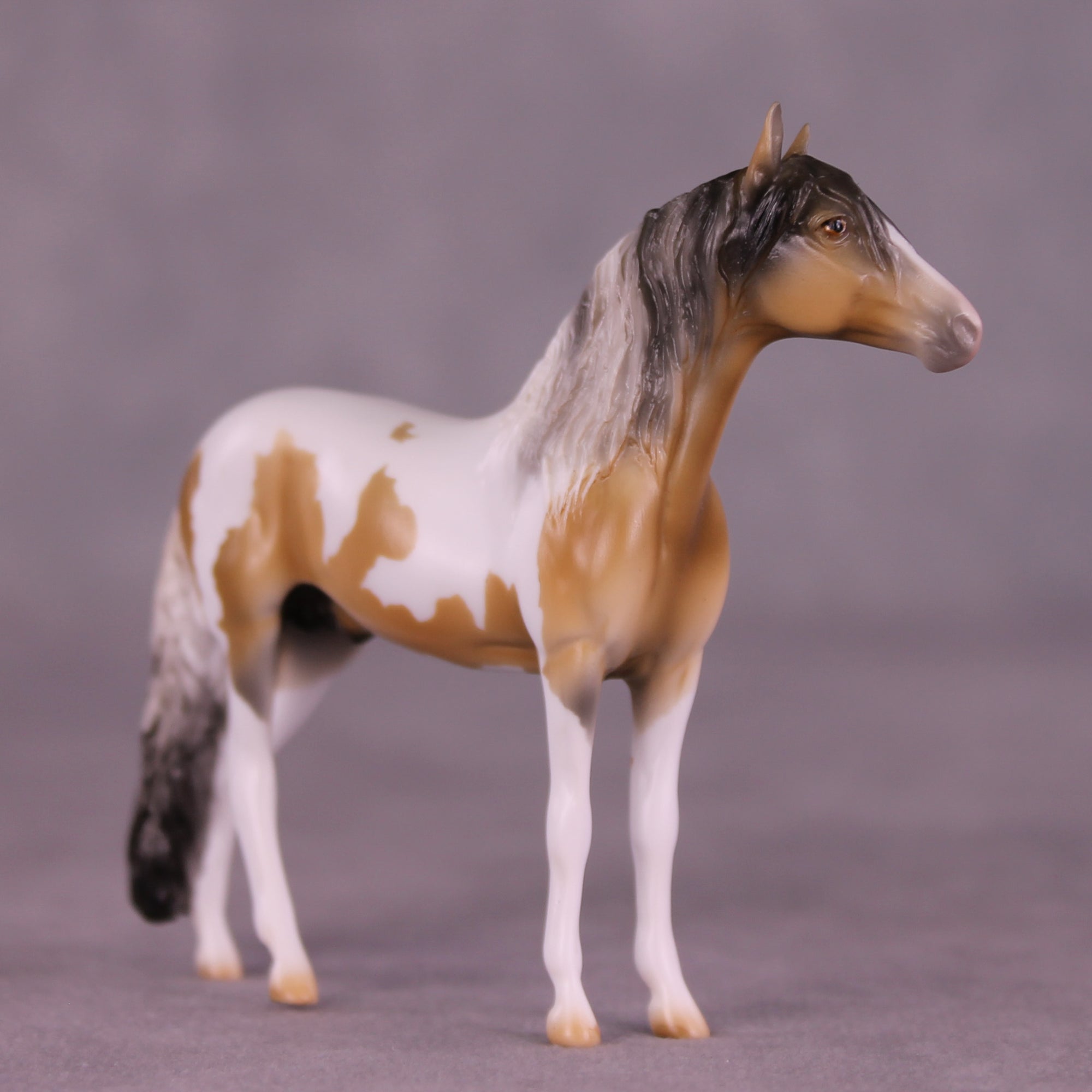 Oats &amp; Honey OOAK Chip Andalusian by Mindy Berg SS925