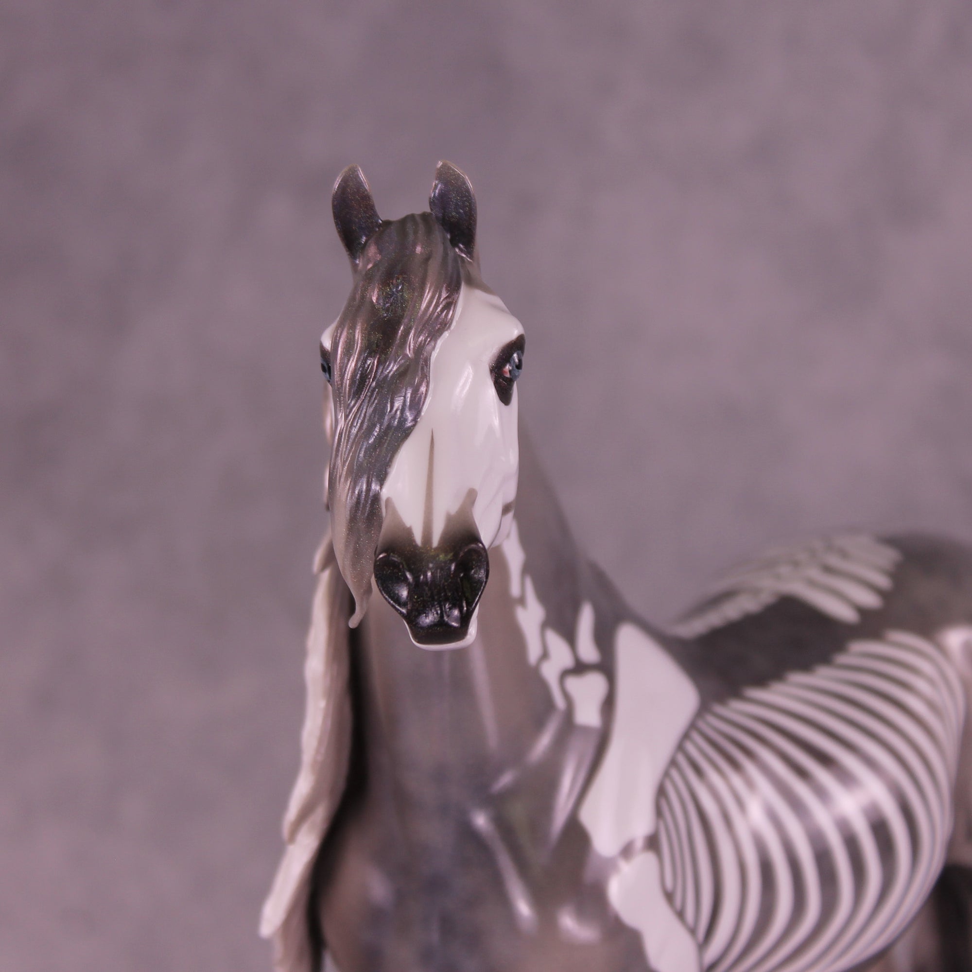 Argento OOAK FCM Morgan by Pernille Forsberg Bøjsen GS1125