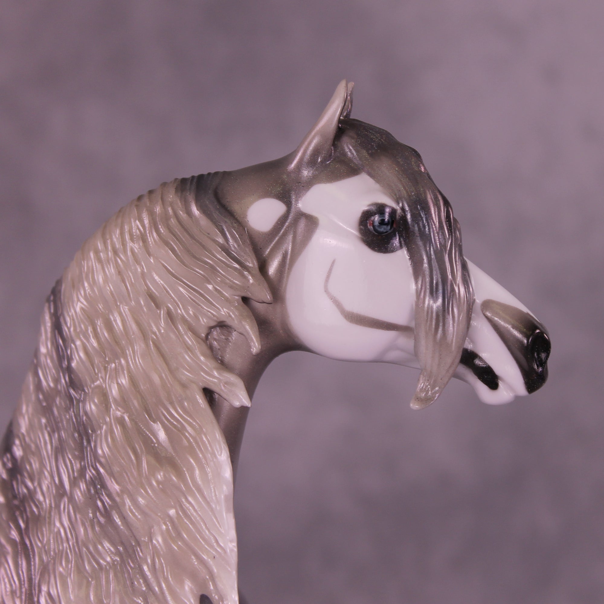 Argento OOAK FCM Morgan by Pernille Forsberg Bøjsen GS1125