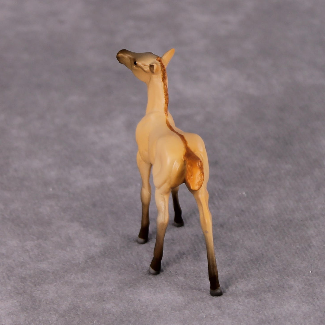 Colorado Desert OOAK Dun Chip Foal By Jamie Adamson HS24