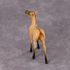 Colorado Desert OOAK Dun Chip Foal By Jamie Adamson HS24