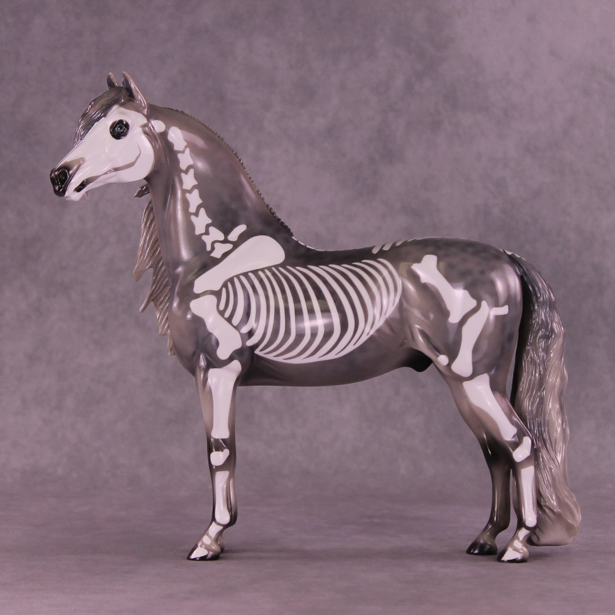 Argento OOAK FCM Morgan by Pernille Forsberg Bøjsen GS1125