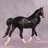 &quot;Madara&quot; OOAK FCM Palouse by Ashley Palmer EQ25