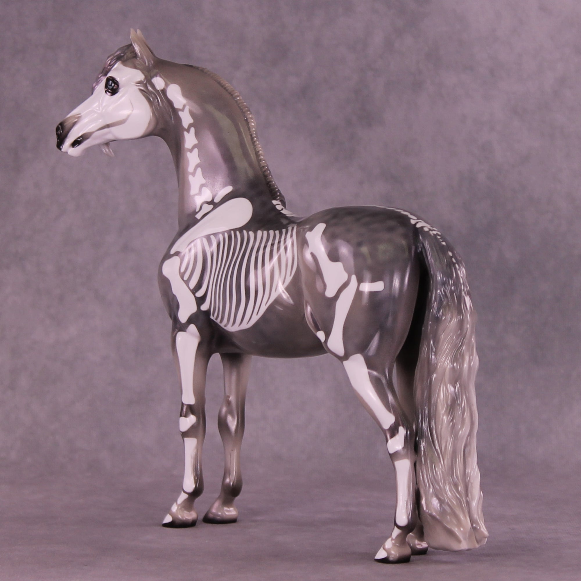 Argento OOAK FCM Morgan by Pernille Forsberg Bøjsen GS1125