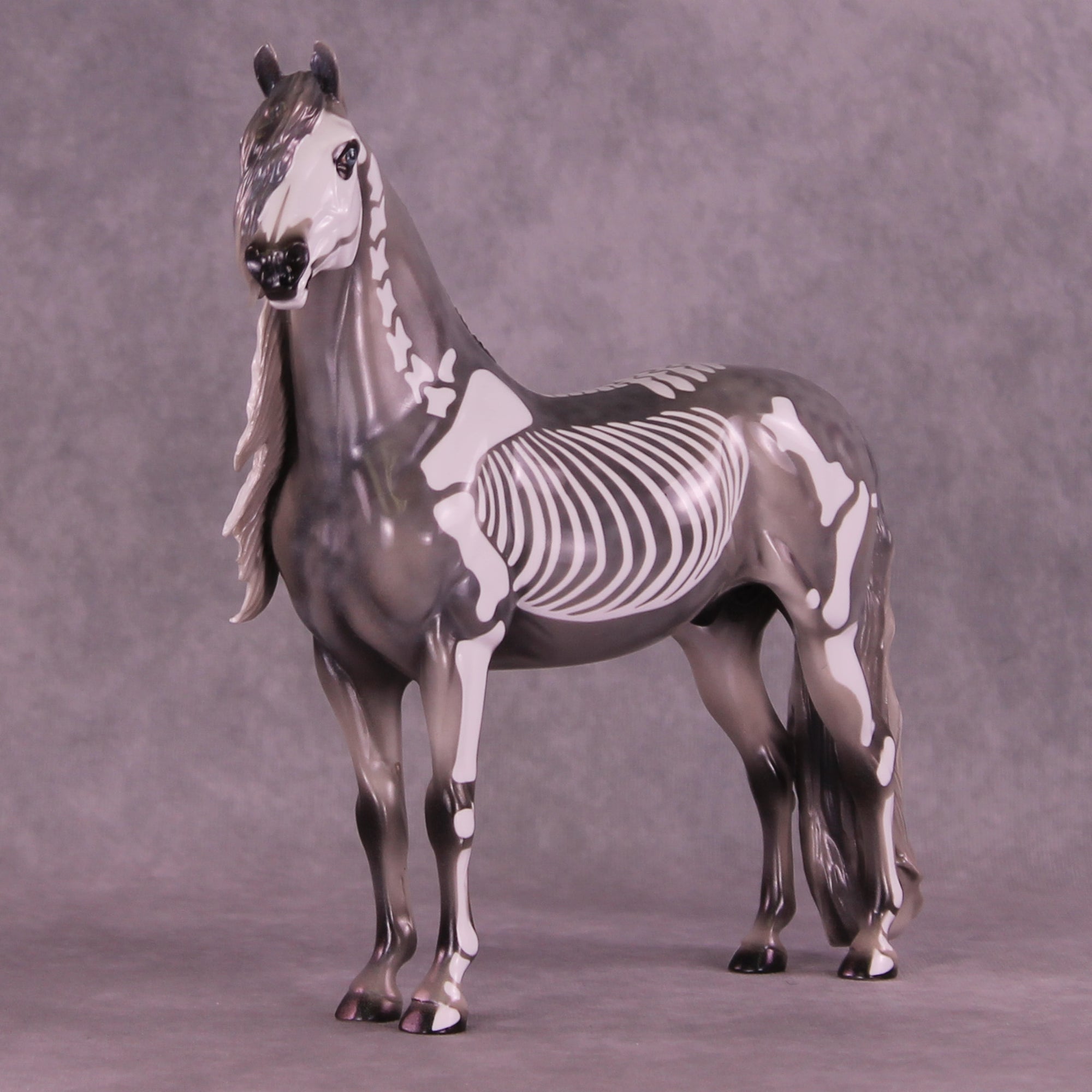 Argento OOAK FCM Morgan by Pernille Forsberg Bøjsen GS1125