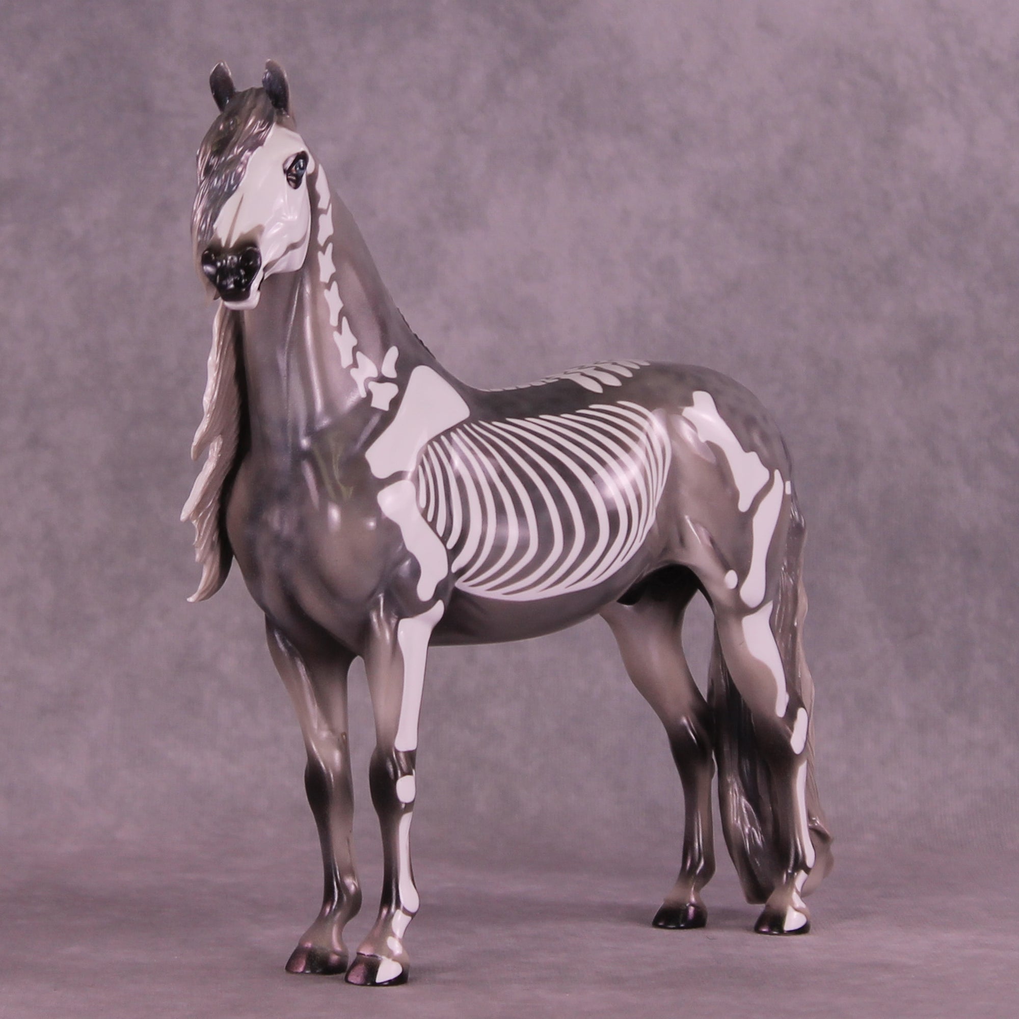 Argento OOAK FCM Morgan by Pernille Forsberg Bøjsen GS1125