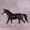 &quot;Madara&quot; OOAK FCM Palouse by Ashley Palmer EQ25