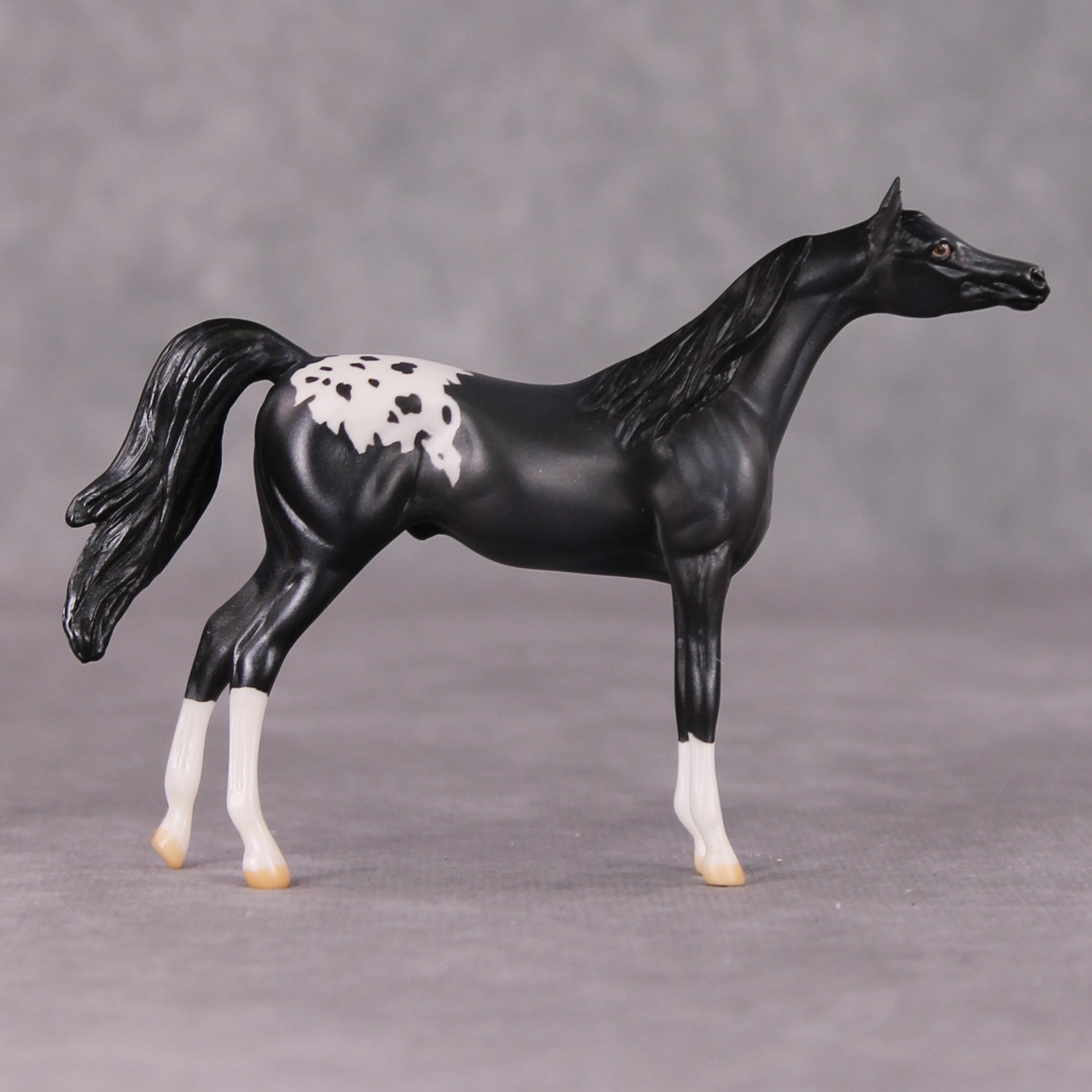 Hematite OOAK Pearl Grey Appaloosa Arabian Chip By Jamie Adamson HS24