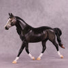 &quot;Madara&quot; OOAK FCM Palouse by Ashley Palmer EQ25