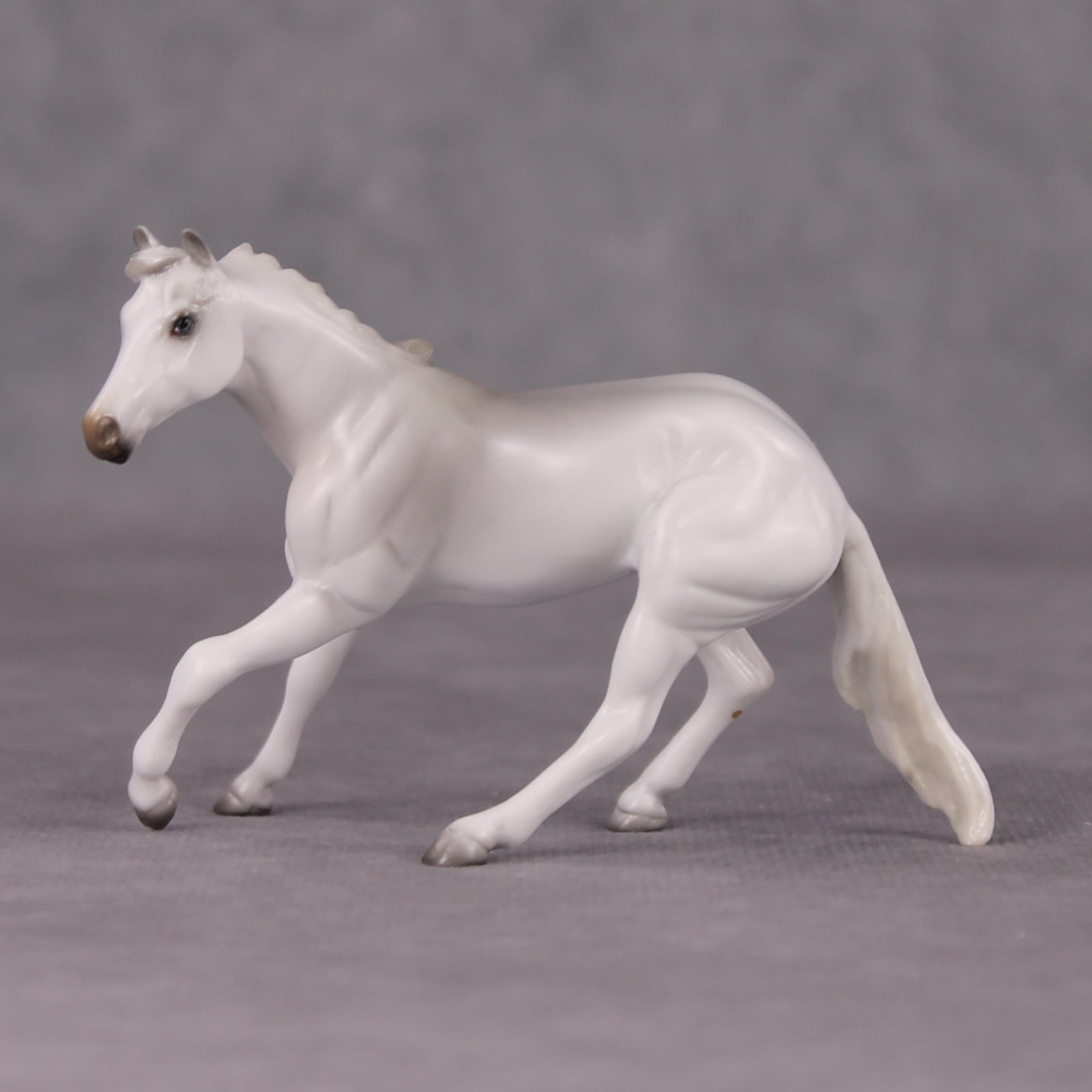 Spitz LE-3 Grey Cutter Chip By Jess Hamill Call of the Wild CL24 - White Husky