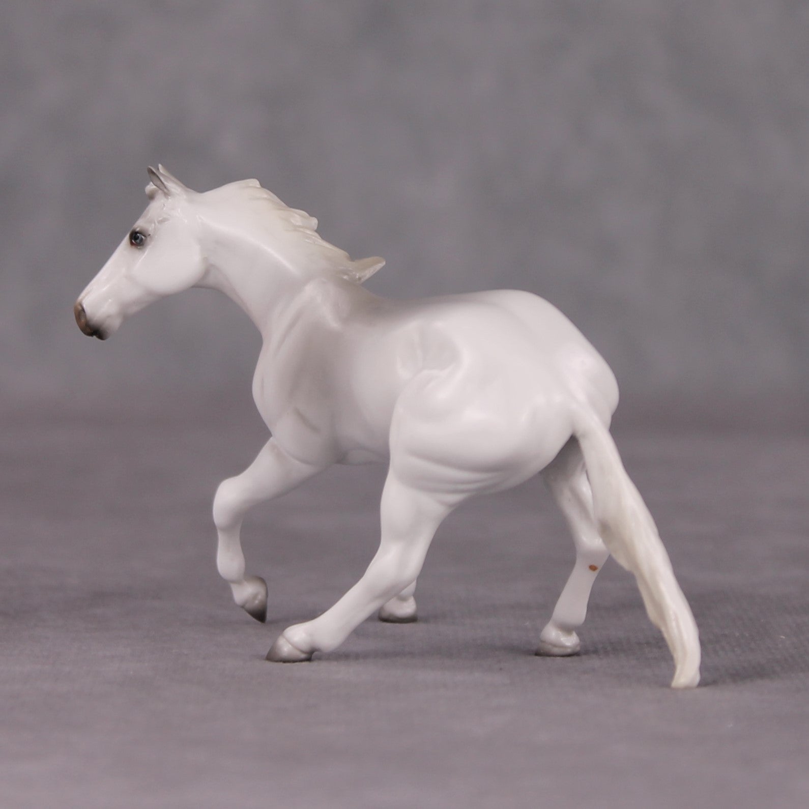 Spitz LE-3 Grey Cutter Chip By Jess Hamill Call of the Wild CL24 - White Husky