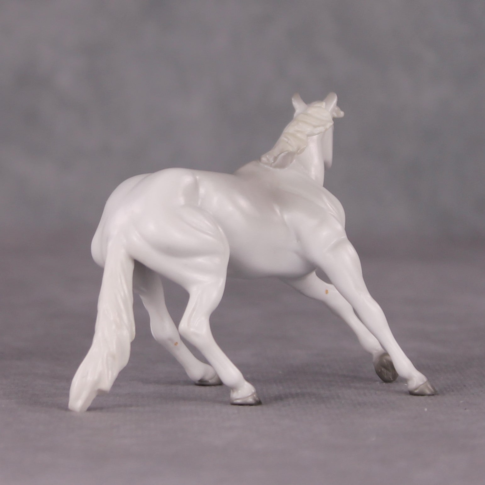 Spitz LE-3 Grey Cutter Chip By Jess Hamill Call of the Wild CL24 - White Husky