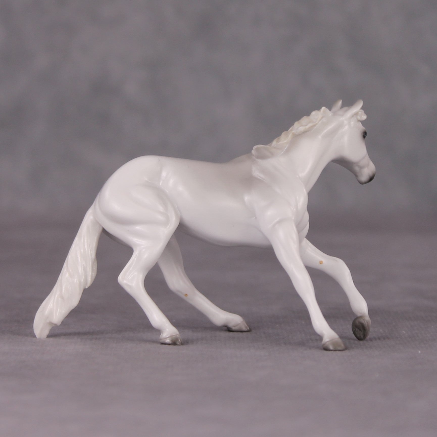 Spitz LE-3 Grey Cutter Chip By Jess Hamill Call of the Wild CL24 - White Husky