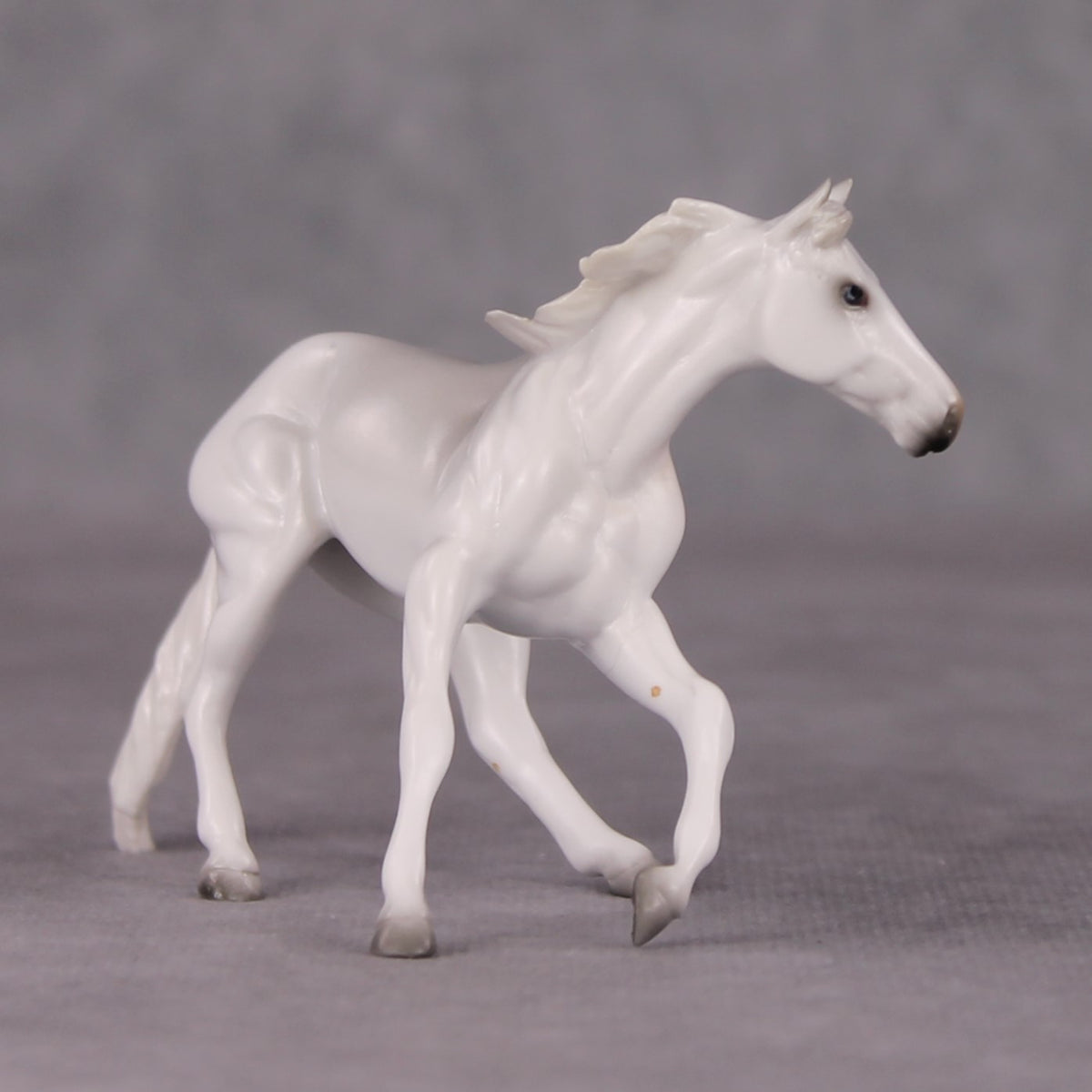 Spitz LE-3 Grey Cutter Chip By Jess Hamill Call of the Wild CL24 - White Husky