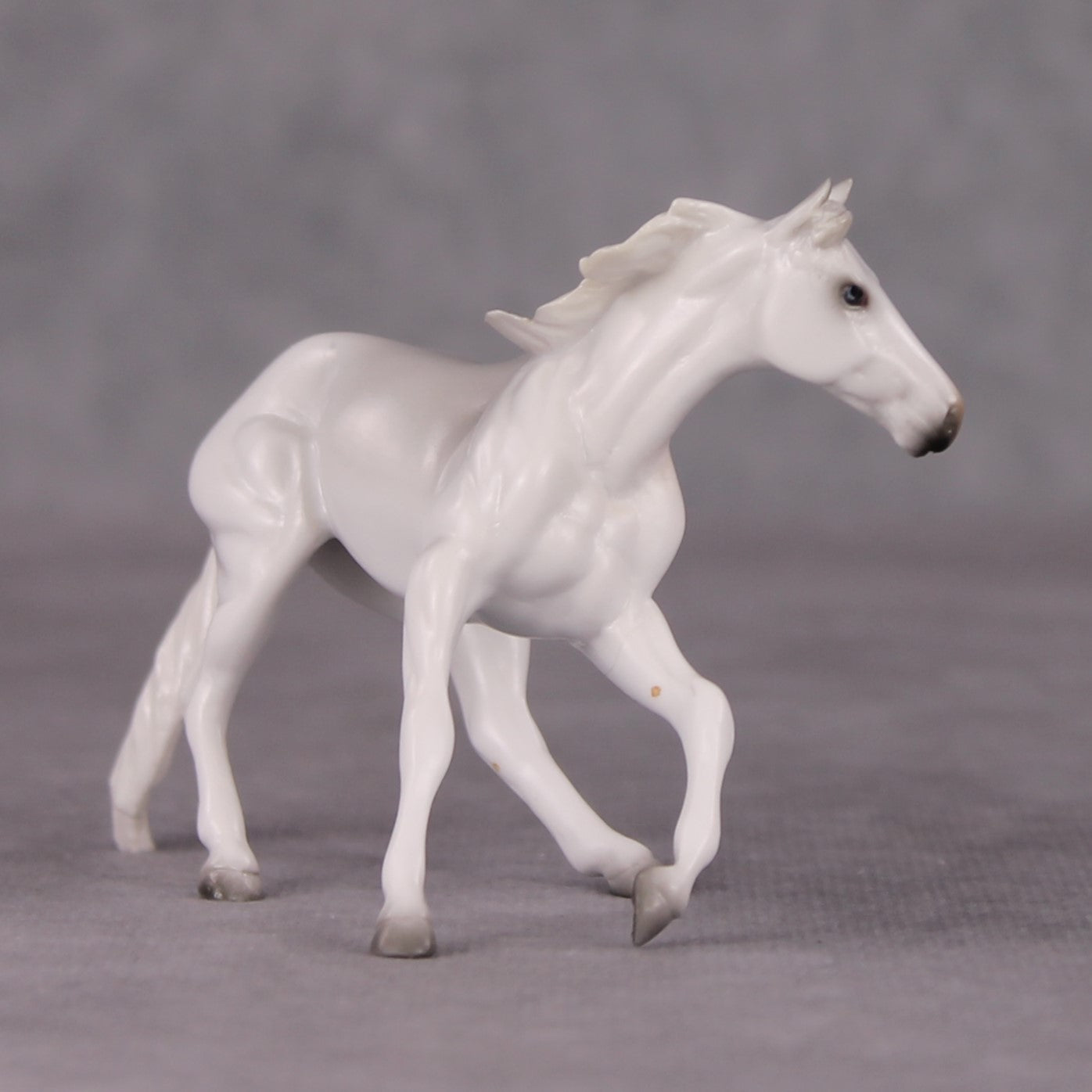 Spitz LE-3 Grey Cutter Chip By Jess Hamill Call of the Wild CL24 - White Husky