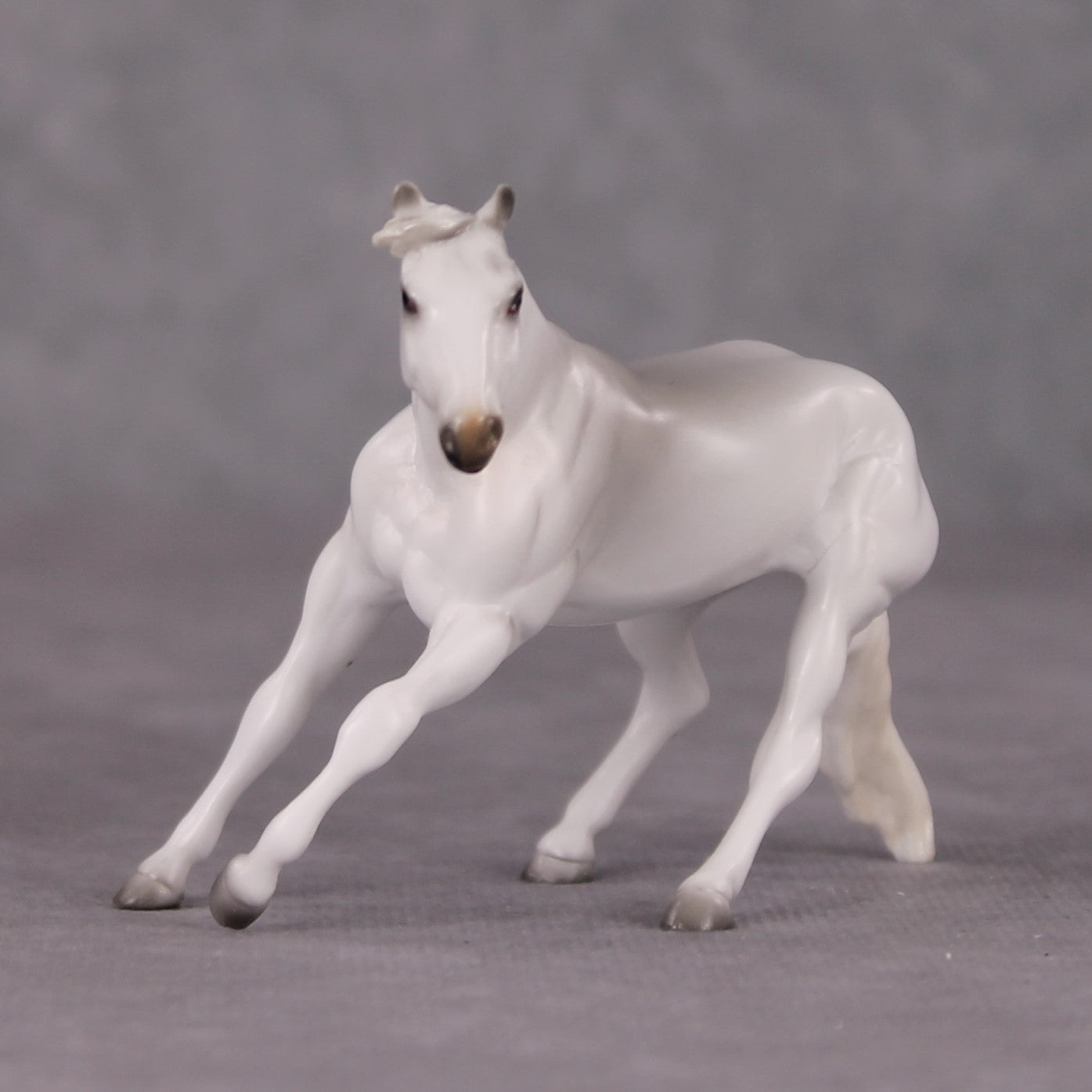 Spitz LE-3 Grey Cutter Chip By Jess Hamill Call of the Wild CL24 - White Husky