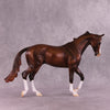 Showman OOAK Thoroughbred by Ashley Palmer EQ25