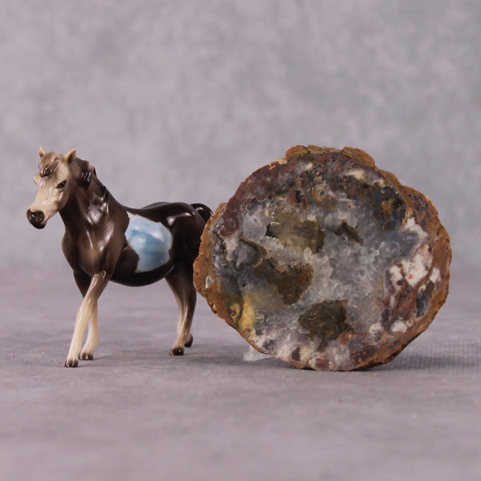 “National Take A Walk in a Park Day” Rock Chips: OOAK Pony Chip based on Thunderegg II by Ellen Robbins