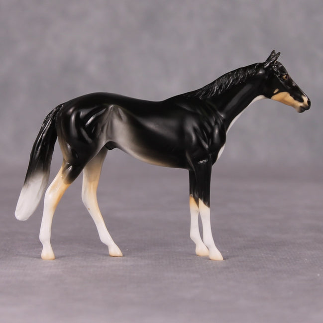 Francois - LE-3 Grey Thoroughbred Chip By Jess Hamill Call of the Wild CL24 - Tricolor Alaskan Husky