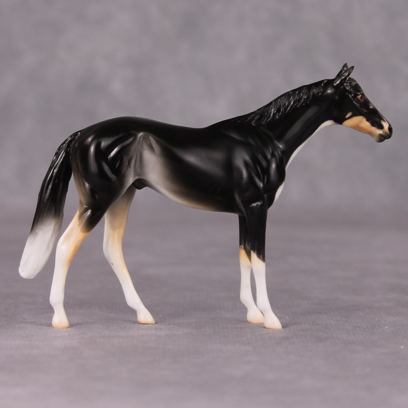 Francois - LE-3 Grey Thoroughbred Chip By Jess Hamill Call of the Wild CL24 - Tricolor Alaskan Husky