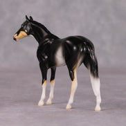 Francois - LE-3 Grey Thoroughbred Chip By Jess Hamill Call of the Wild CL24 - Tricolor Alaskan Husky